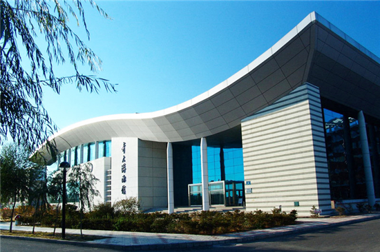 齐齐哈尔大学游泳馆网架工程