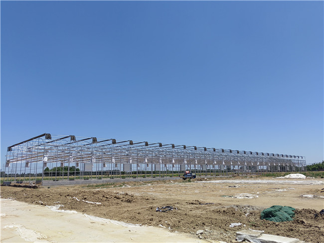 智能蔬菜大棚造价